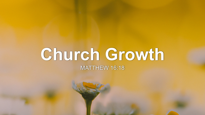 Image 11-13-25 at 4.10 PM